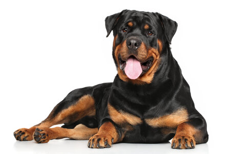 fotolia_80512914.jpg