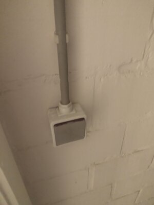 IMG_20230429_113242291.jpg