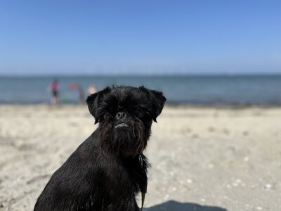 IMG_1219.jpeg