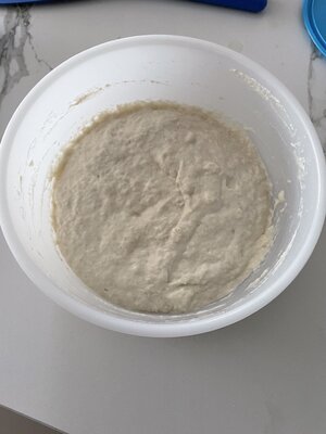 IMG_8535.jpeg
