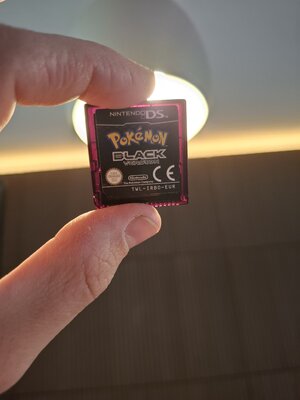 20250407_175126.jpg