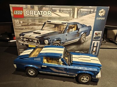 mustang.jpg