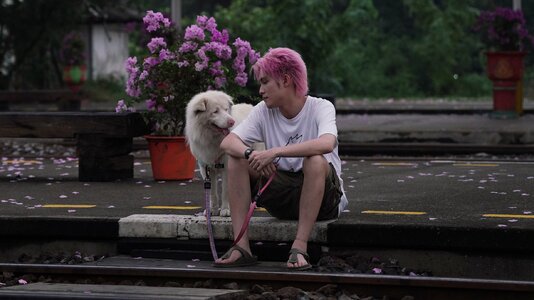 gohan-02.jpg