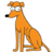 Knarf