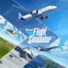 Microsoft Flight Simulator