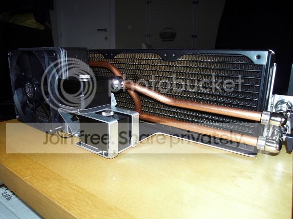 SDC11386.jpg