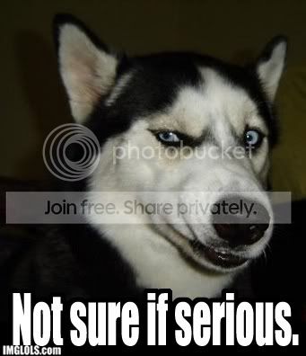 Dog-Not-Sure.jpg