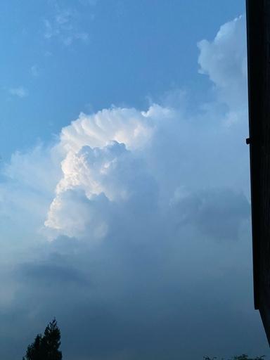 c95e57555793fc70273ab40477826c98.jpg