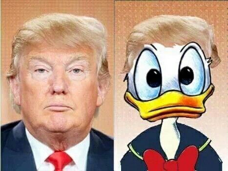 duck_trump_1.jpg
