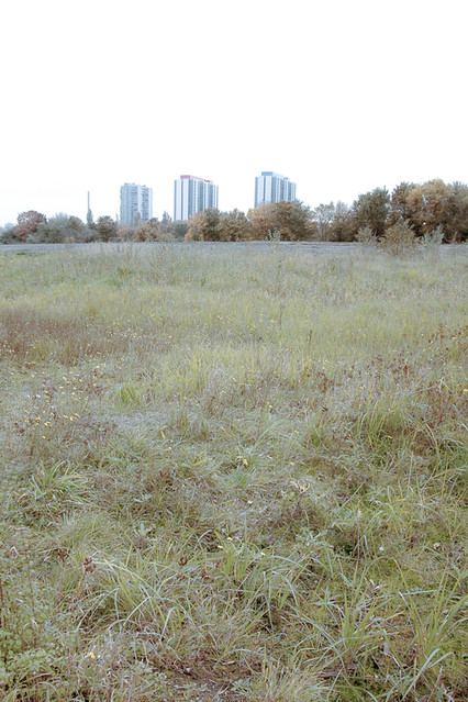 6299788980_253dc55911_z.jpg