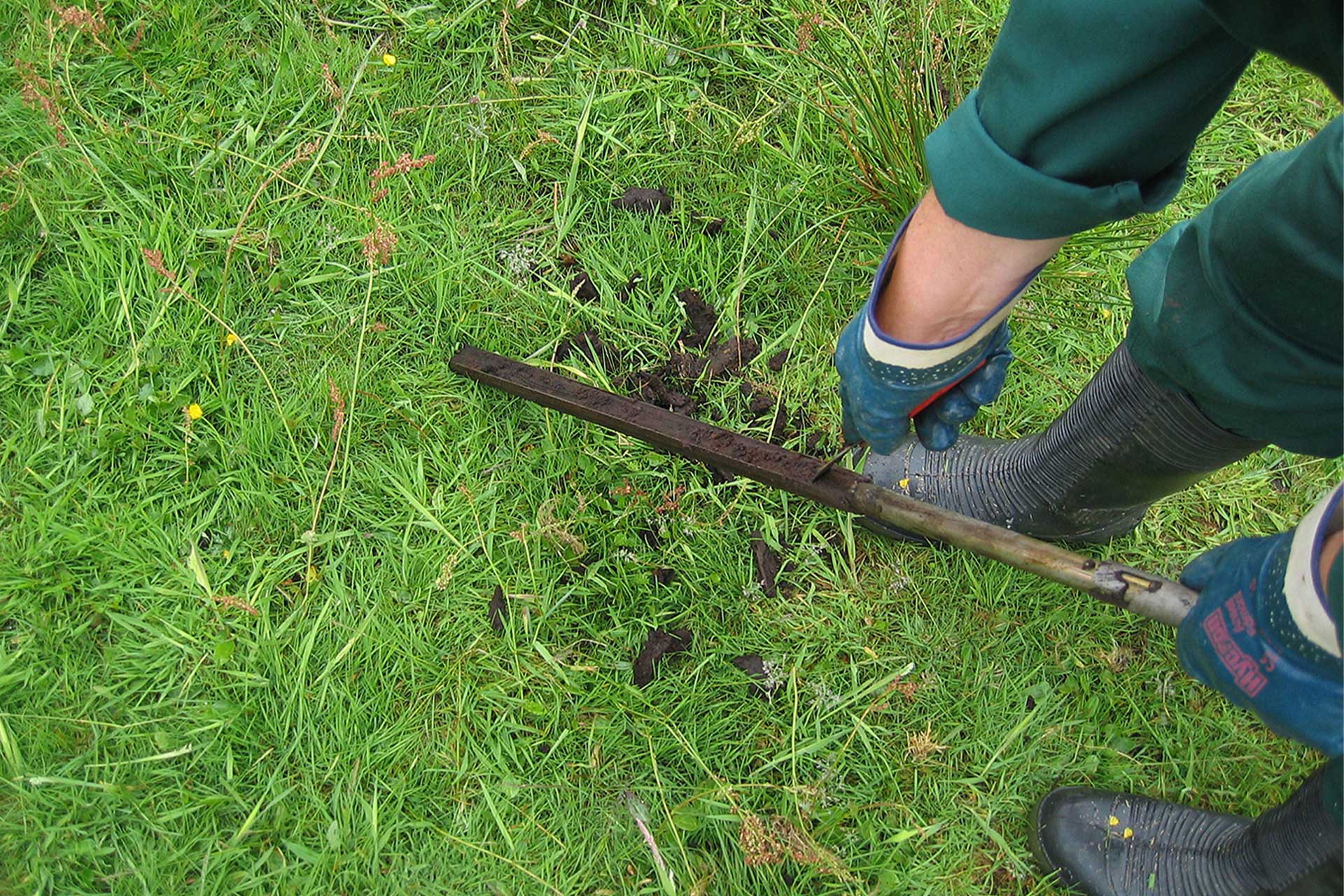 gouge-auger-with-sample.jpg