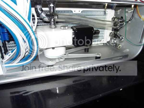 SDC10130.jpg