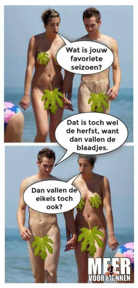 6d5aa19acf42fdafe3c7911ced70c9a8.jpg