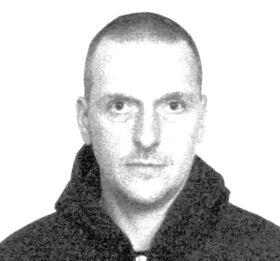 thequietus.com