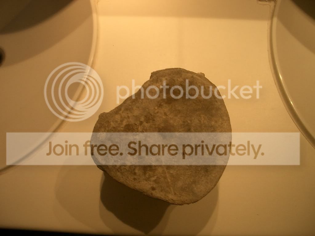 IMGP6574.jpg
