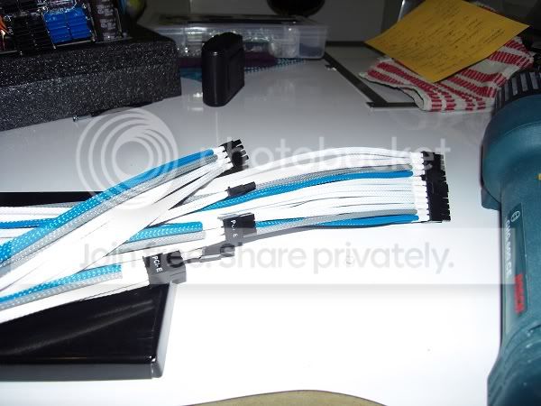 SDC10442.jpg