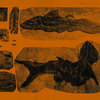 horn-of-plenty.bandcamp.com