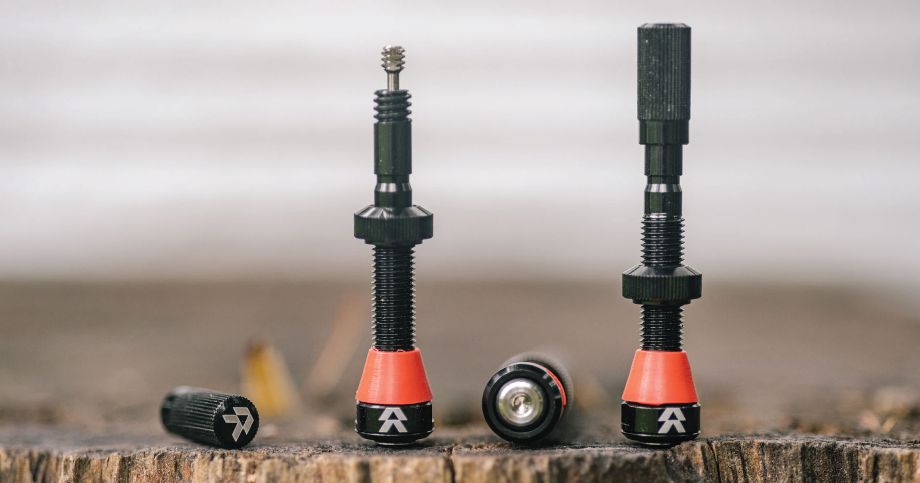 bikepacking.com
