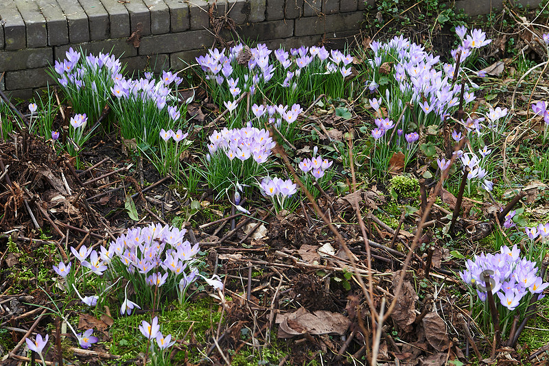 p4133748731-4.jpg