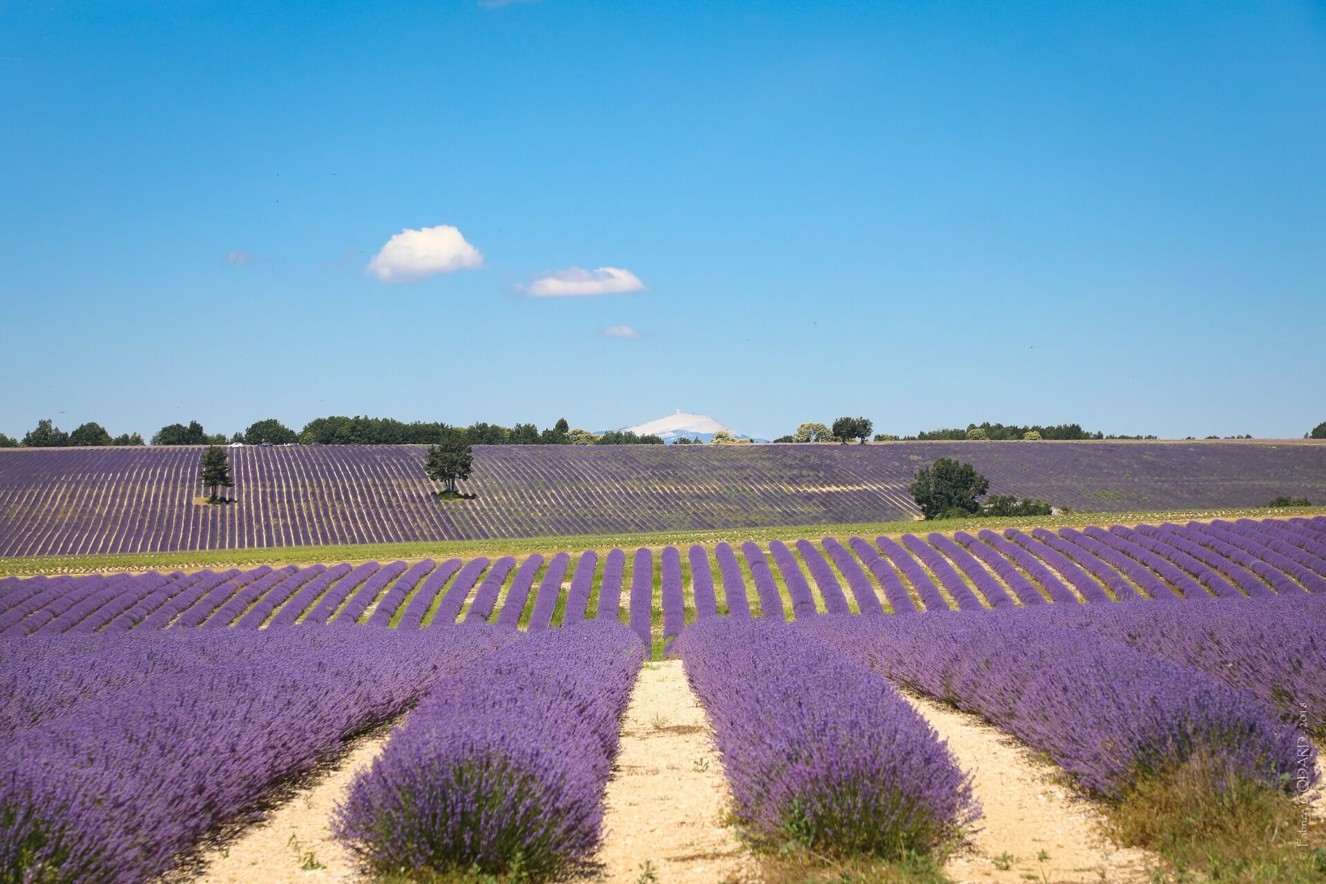 entre-lure-et-ventoux.com