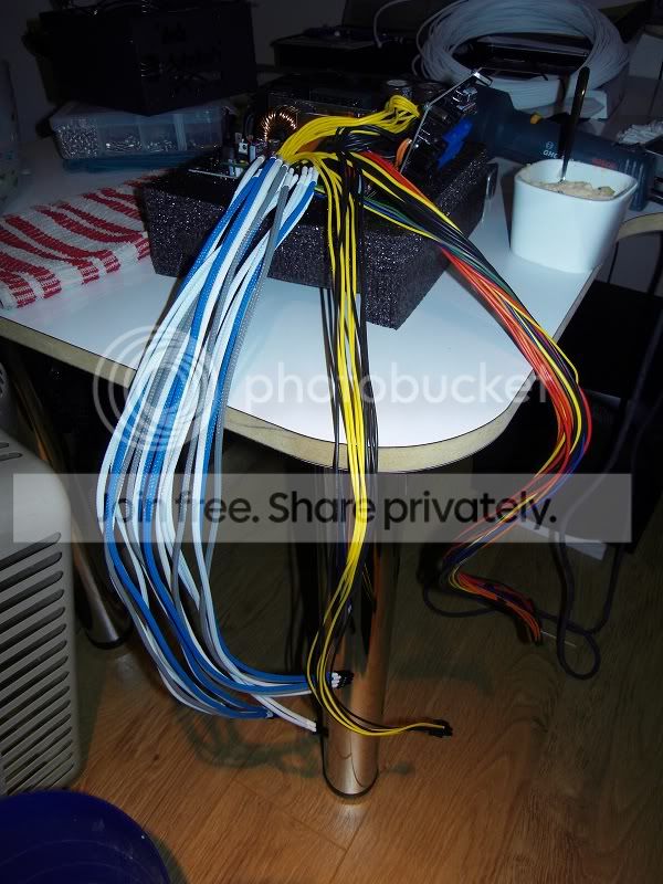 SDC10431.jpg