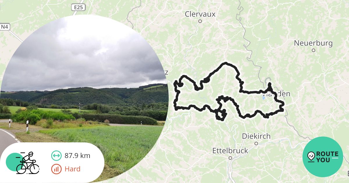 www.routeyou.com