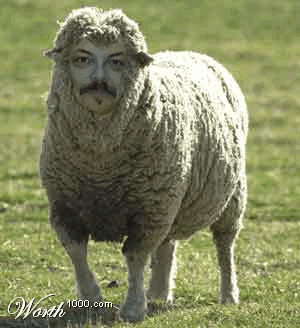 sheep+man.gif