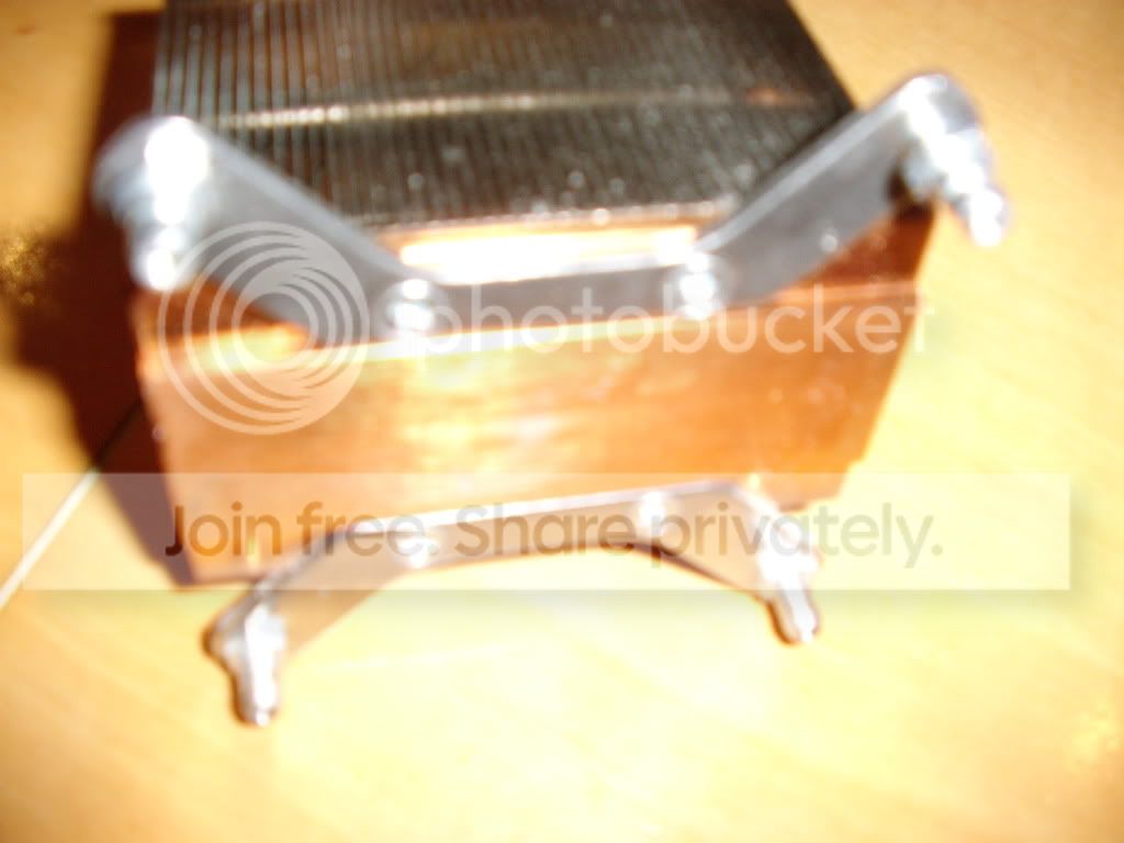 STA41794.jpg