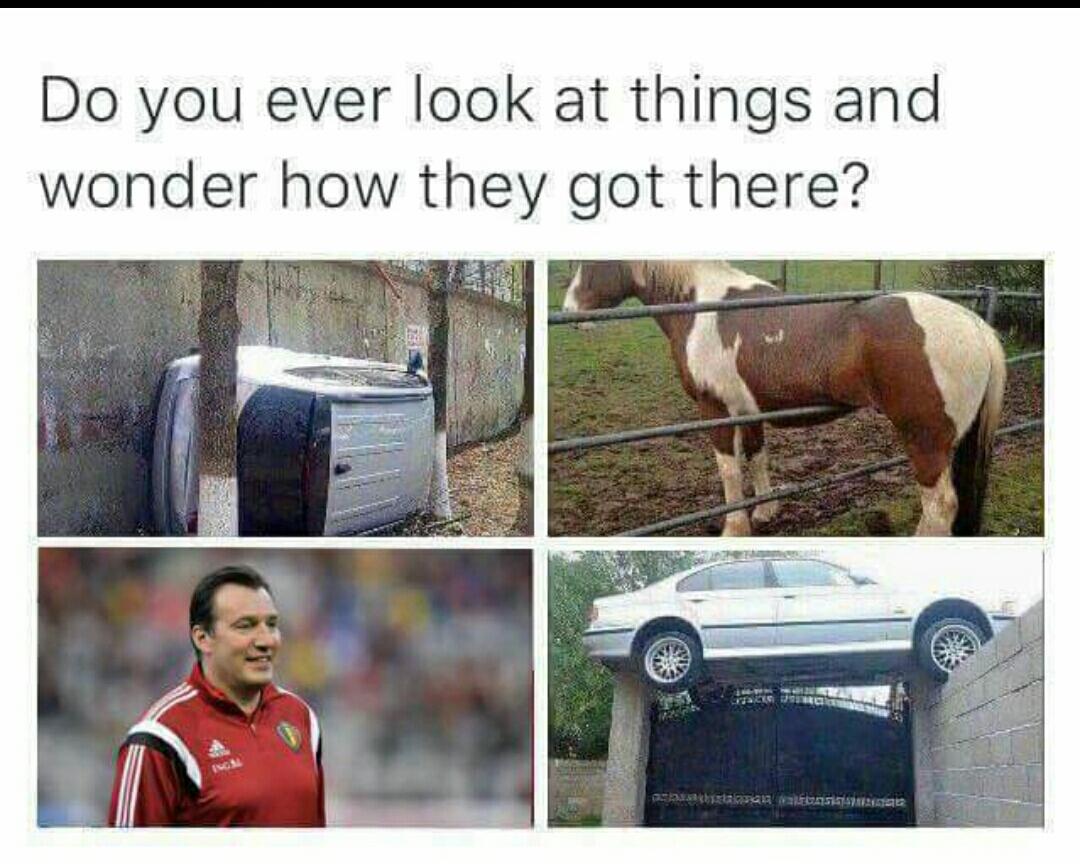 Ck5qIQwWEAAoG8q.jpg
