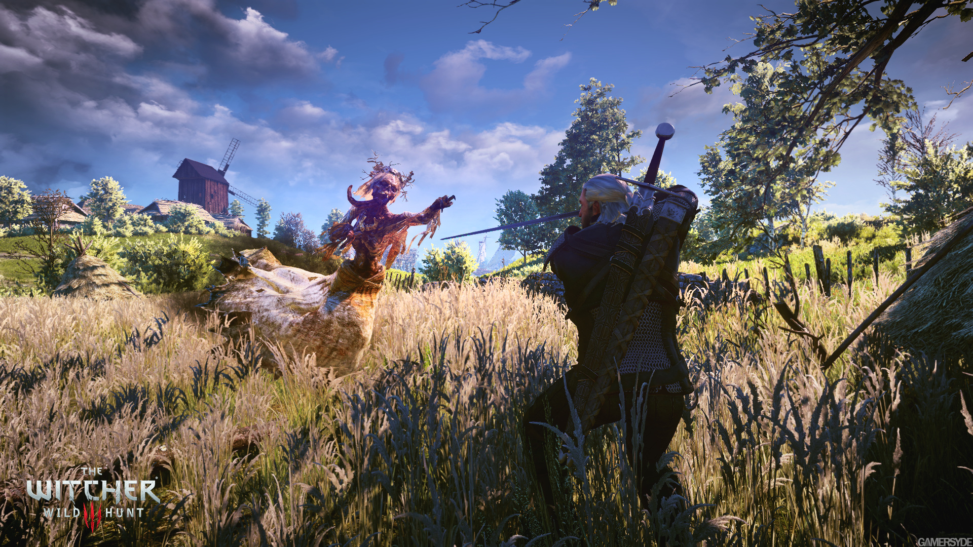 image_the_witcher_3_wild_hunt-25218-2651_0003.jpg