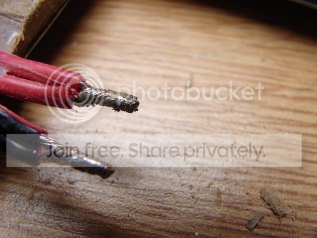 DSC03624.jpg