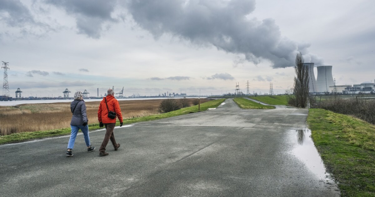 www.demorgen.be