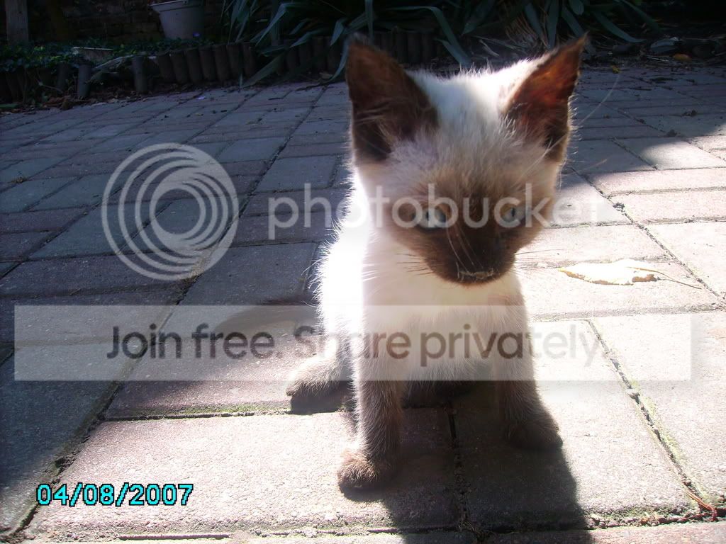 PICT0019.jpg