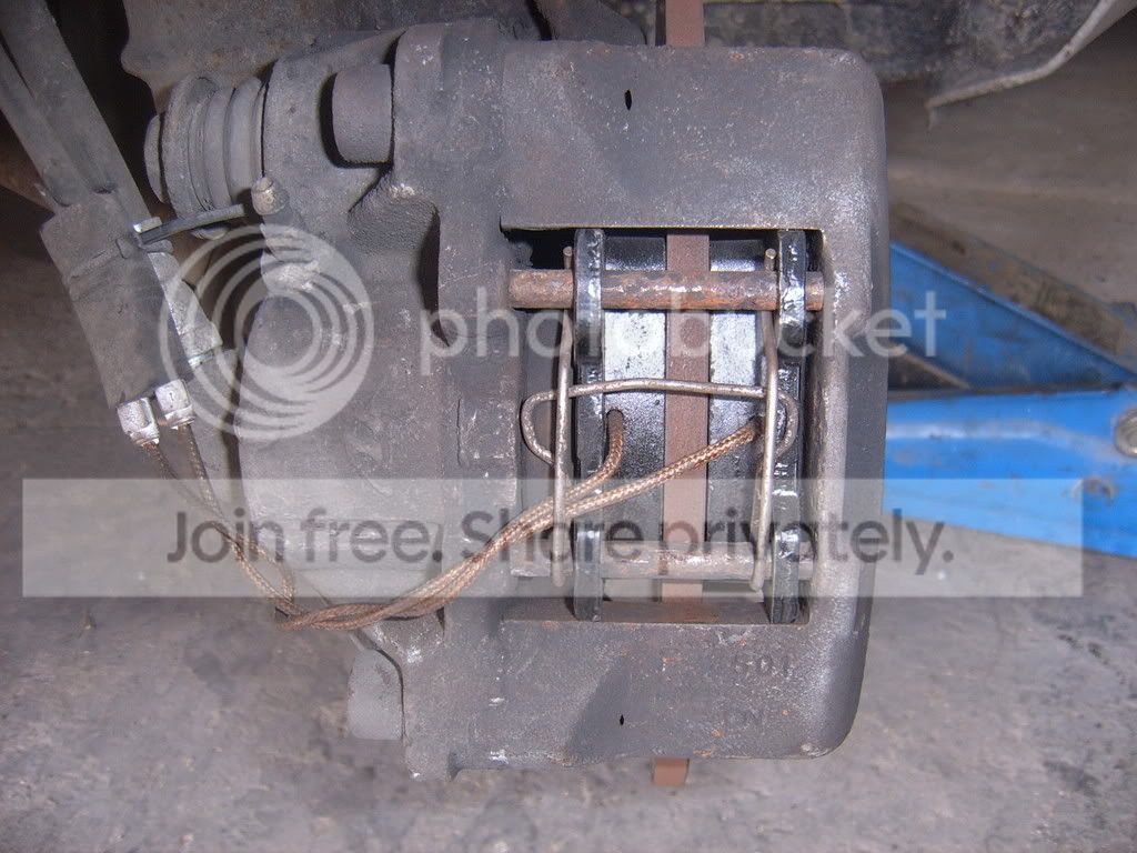 SUC51865.jpg