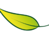 www.eurocompost.be