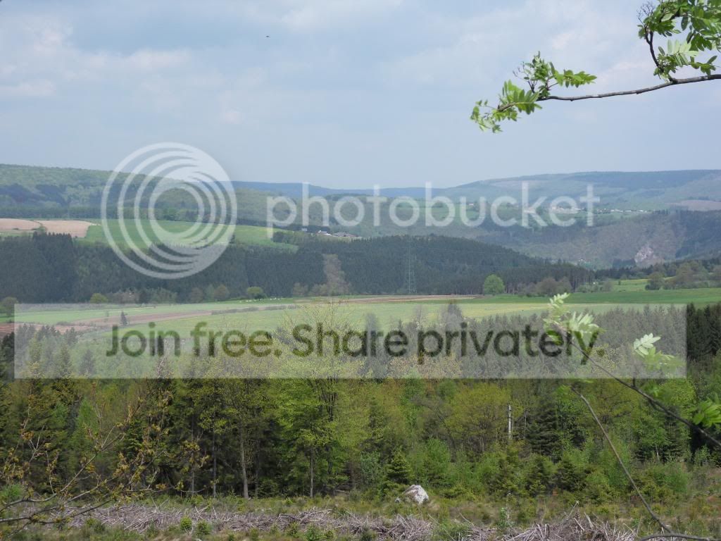 SDC11350.jpg
