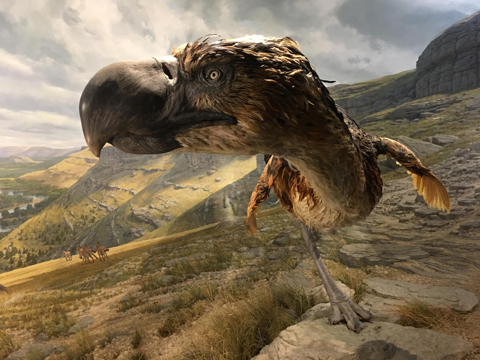 terror_bird_by_itsallstock-db5e5ts.jpg