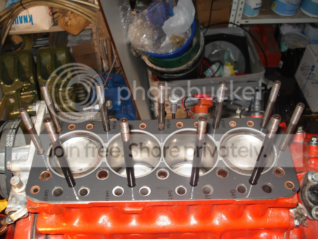 DSC01552.jpg
