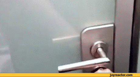 gif-door-696005.gif