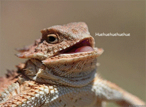 9a3.gif