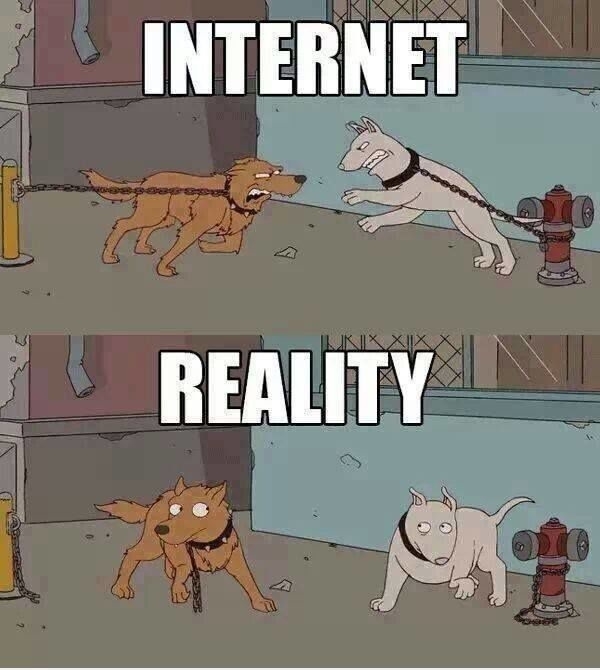 pic-1-internet-vs-reality-224666.jpg