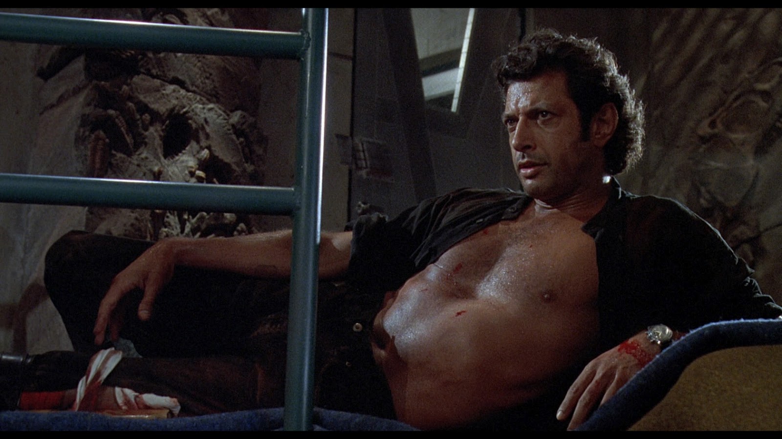 dr-ian-malcolm-jurassic-park-jeff-goldblum-chaos.jpeg