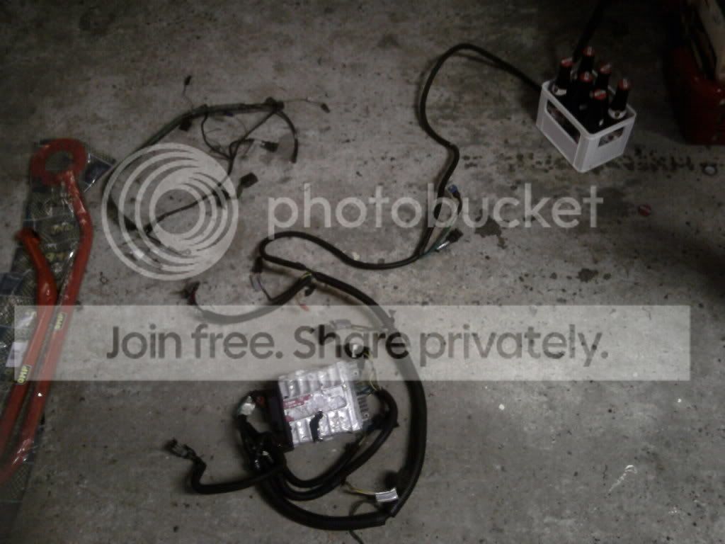 SP_A0229.jpg