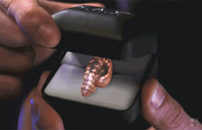 tumblr_mx7th7pPRR1ry46hlo1_400.gif
