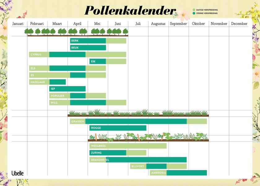 pollen-jpg.jpg