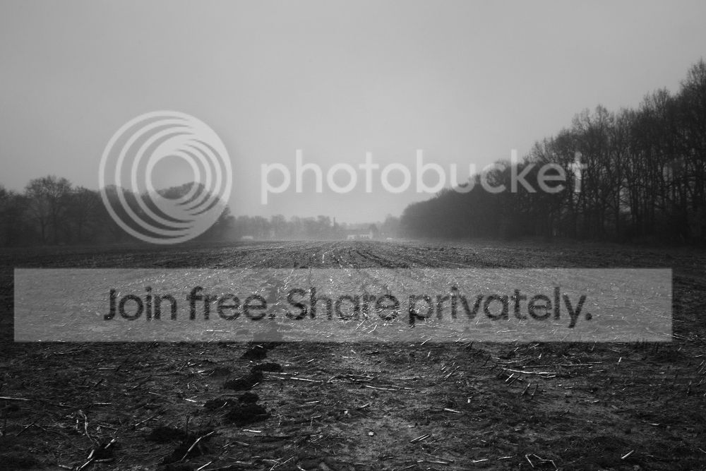 Veld_Mist6.jpg