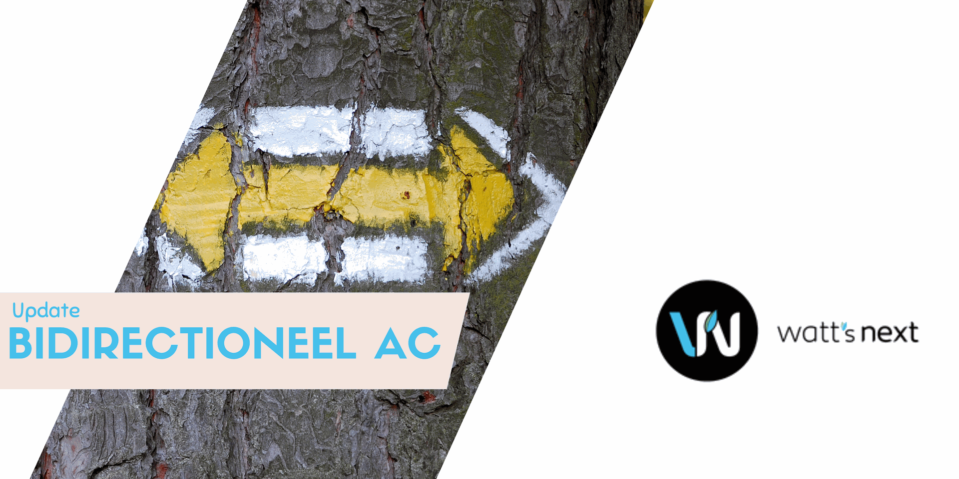 www.wattsnext.be