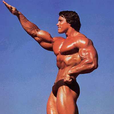 arnold-schwarzenegger.jpg