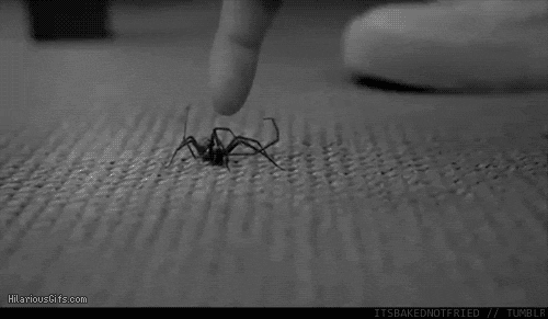 tumblr_lx8vi3TL7q1r8cvzdo1_500.gif