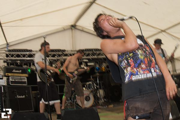 flemish-punk.jpg